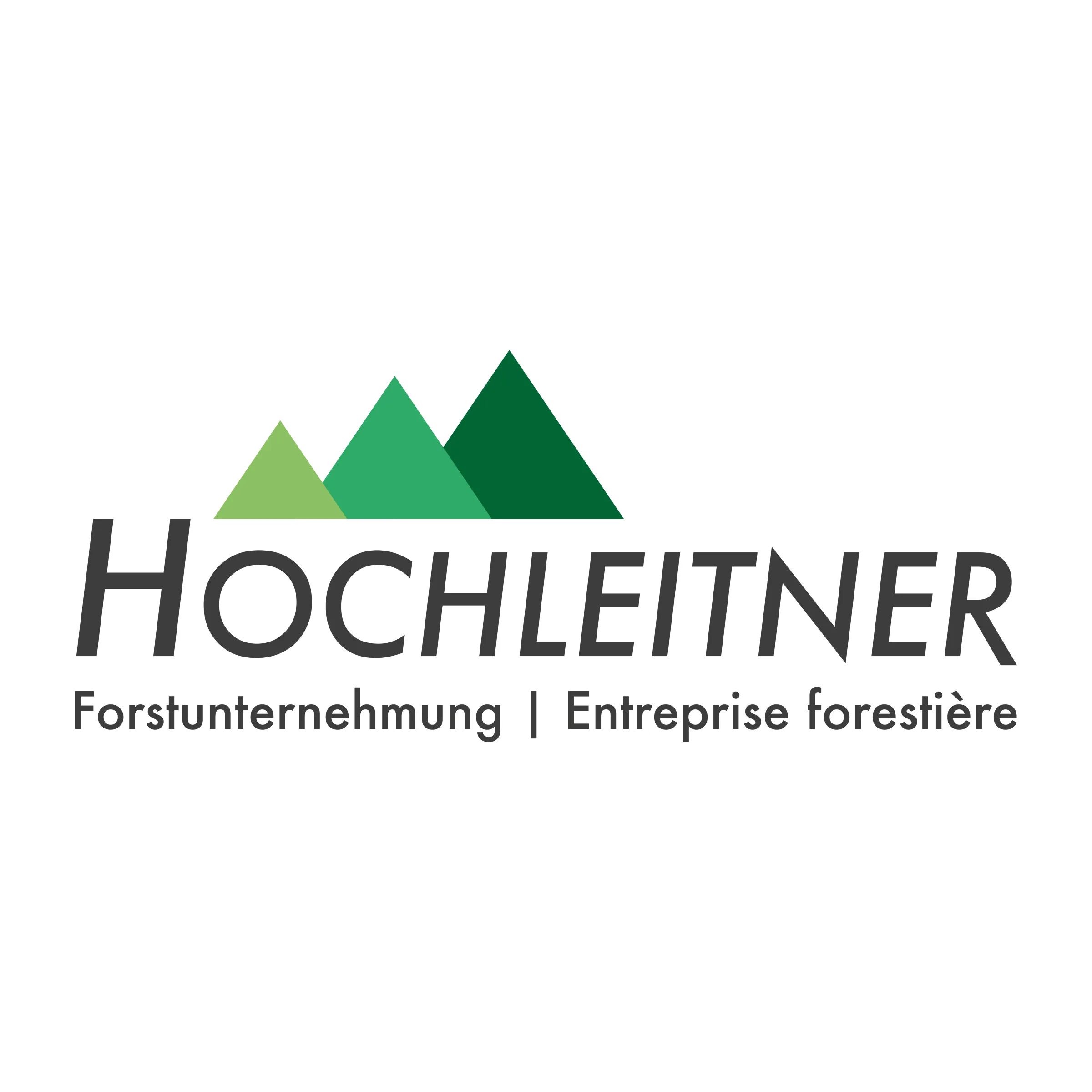 Logodesign 7
