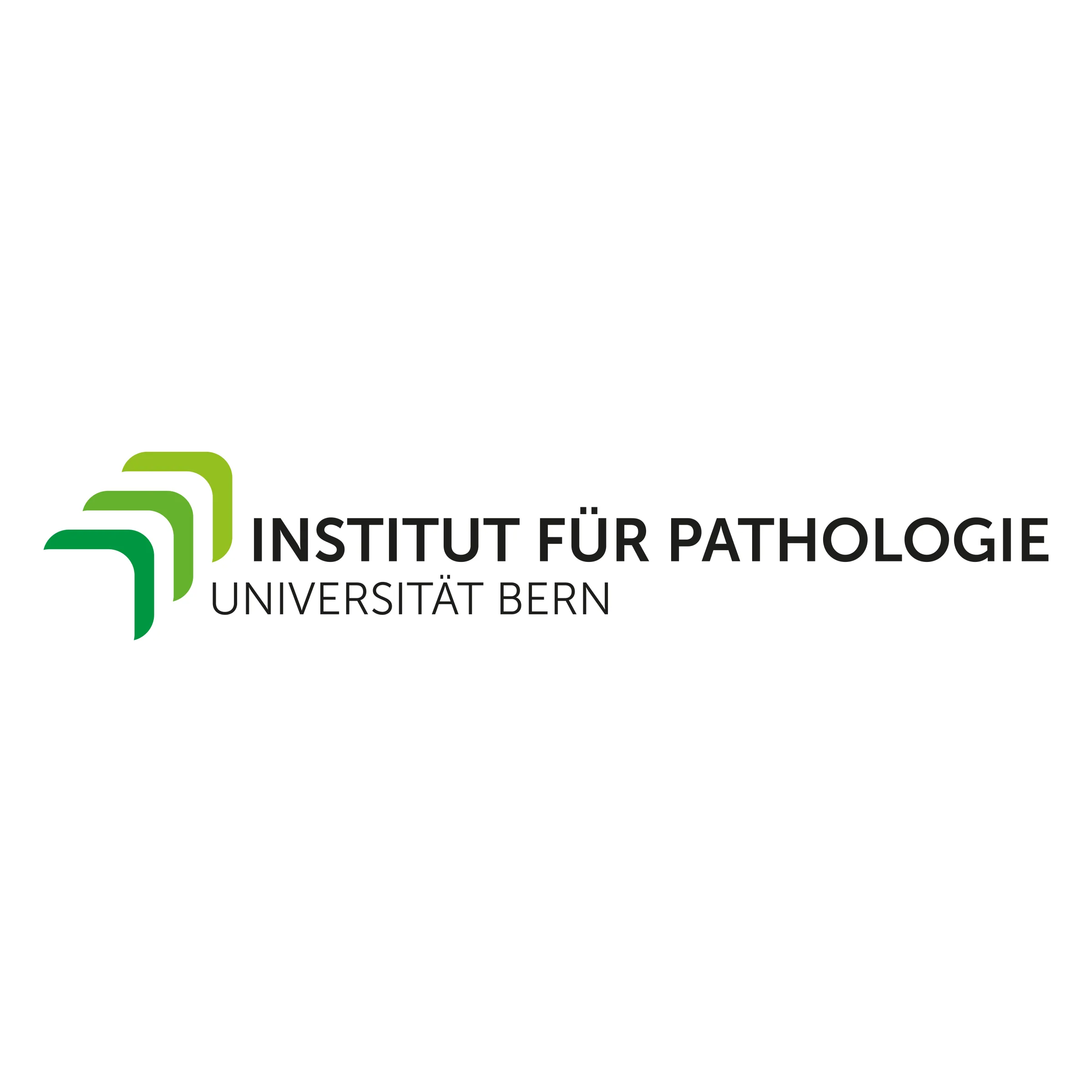 Logodesign 8
